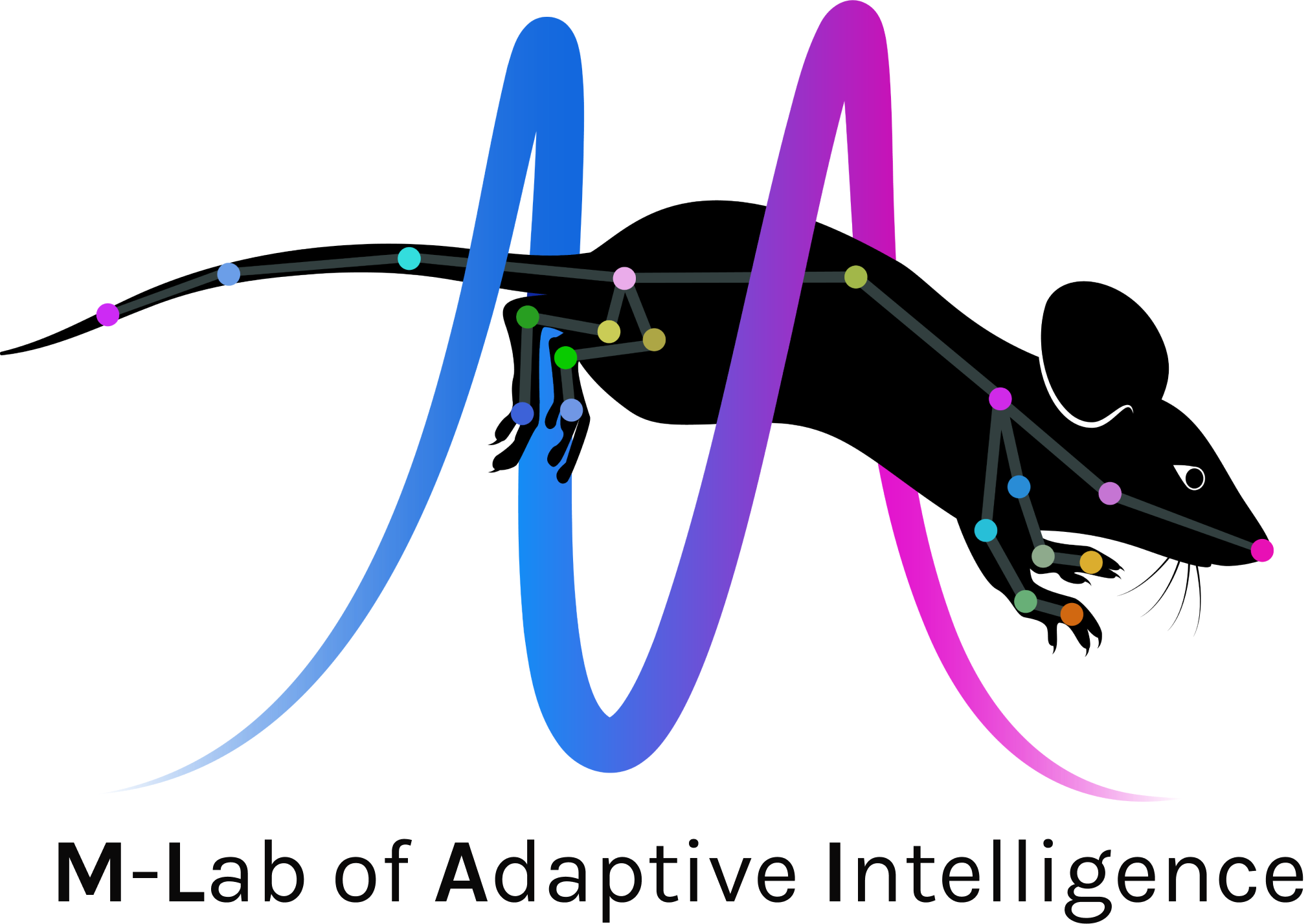 M-Lab of Adaptive Intelligence
